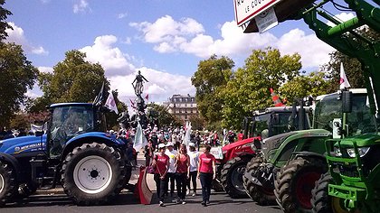 Illustration article