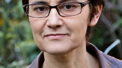 Illustration article