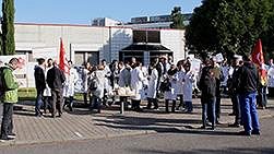 Illustration article