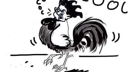 Illustration article