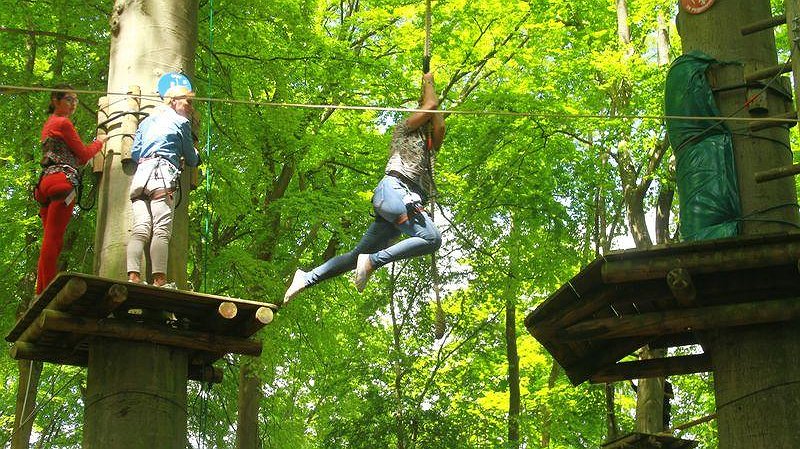 Illustration - Le Parcours dans les arbres