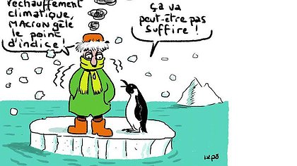 Illustration article