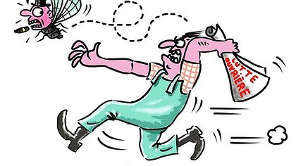 Illustration article