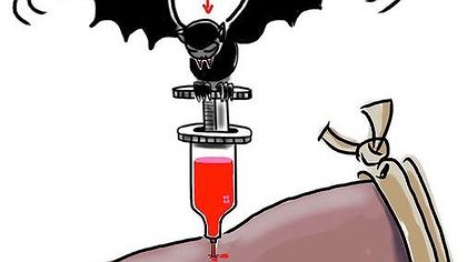 Illustration article