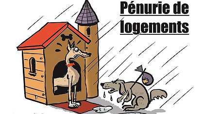 Illustration article