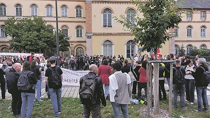 Illustration article