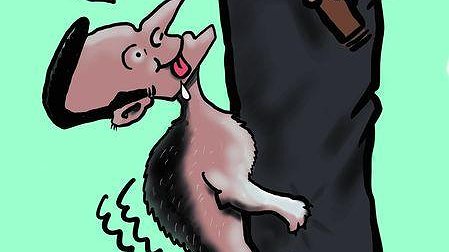 Illustration - investissement public et dividendes privés