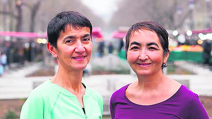 Illustration article