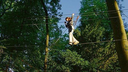 Illustration article