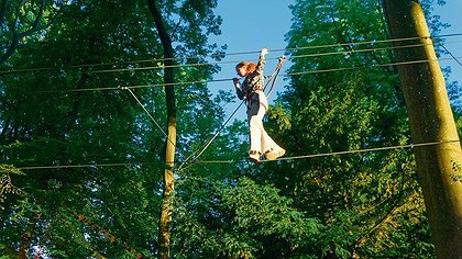 Illustration article