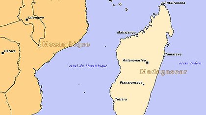 Illustration article