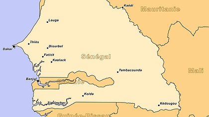 Illustration article