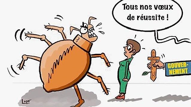 Illustration - mensonges et incurie