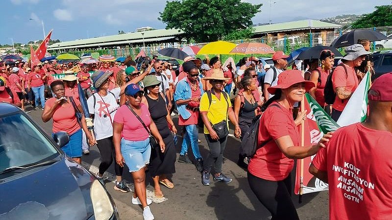 Illustration - la grande marche contre la vie chère