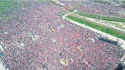 Illustration article