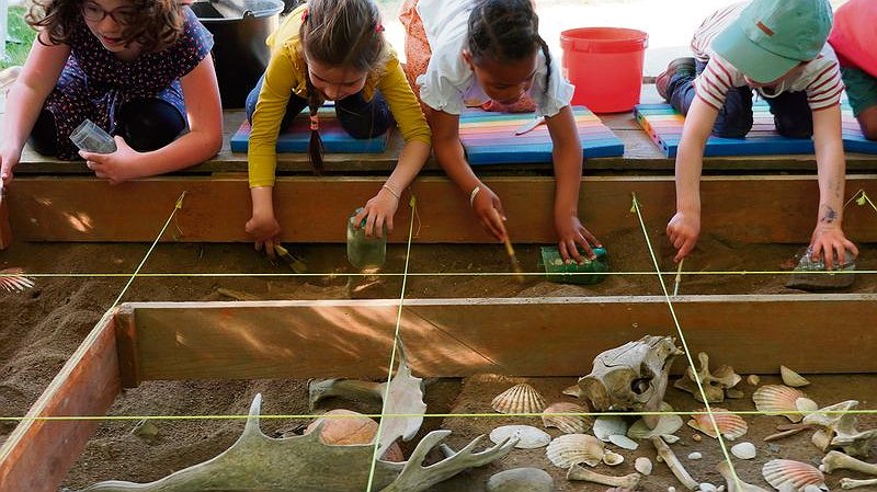 Illustration - Le Préhisto-parc