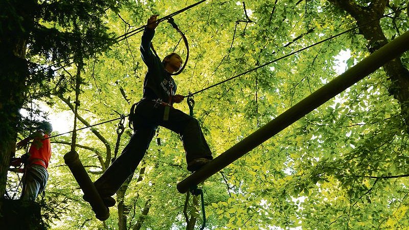 Illustration - Parcours dans les arbres