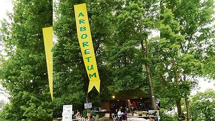 Illustration article