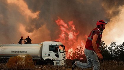 Illustration article