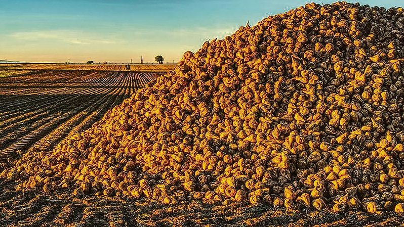 Illustration - un recul en trompe-l’œil