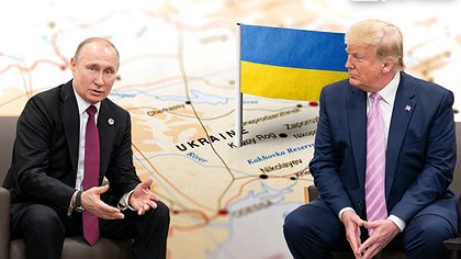 Illustration article