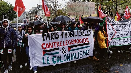 Illustration article