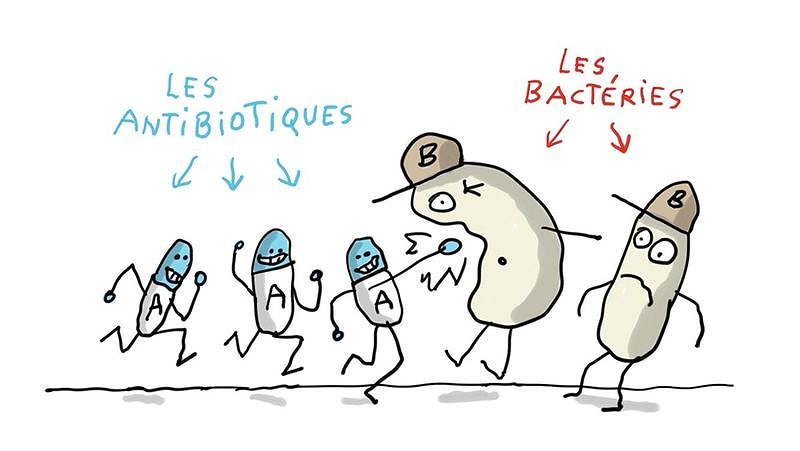 Illustration - Le Carrousel de la connaissance